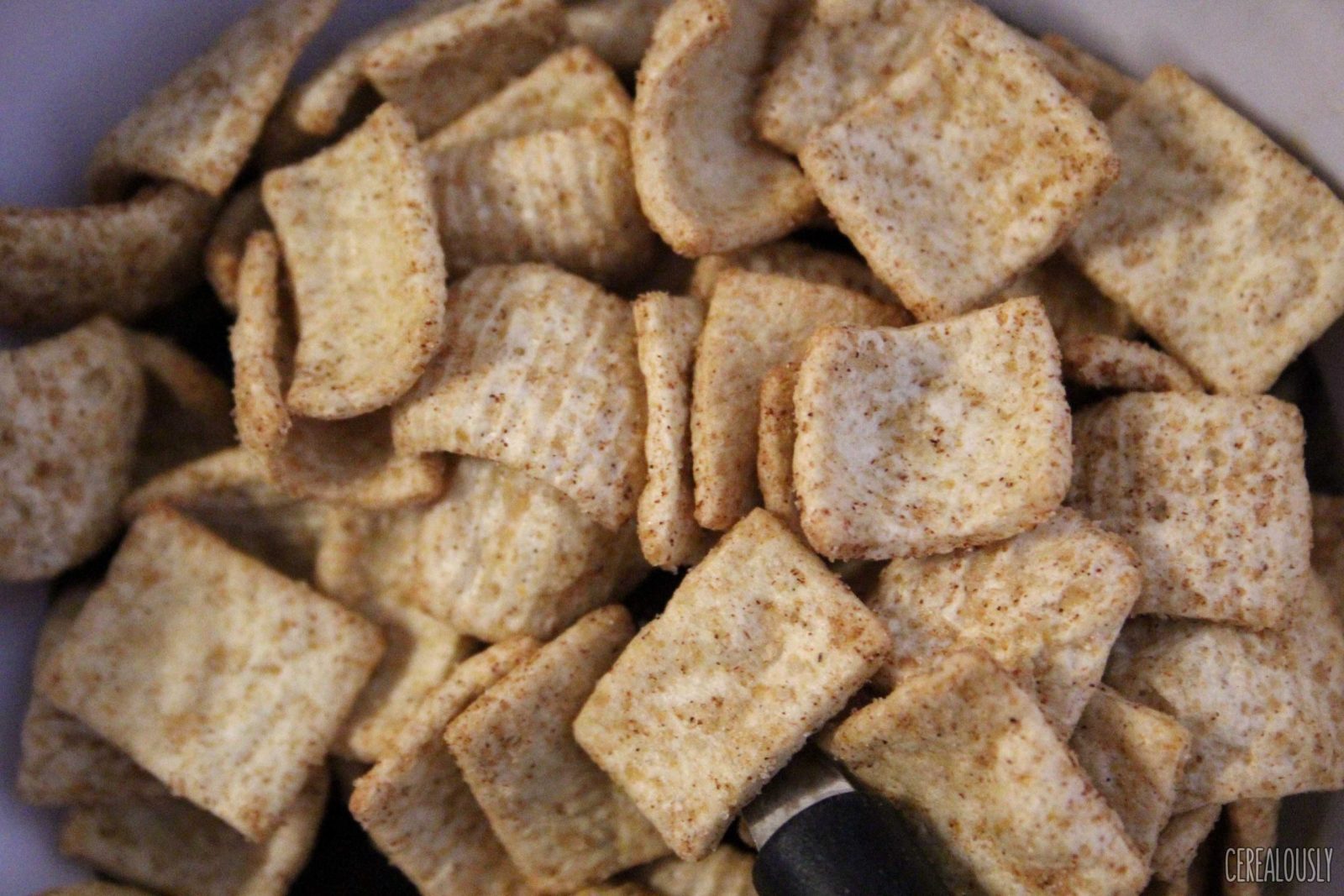 Crunchy Cinnamon Squares Review