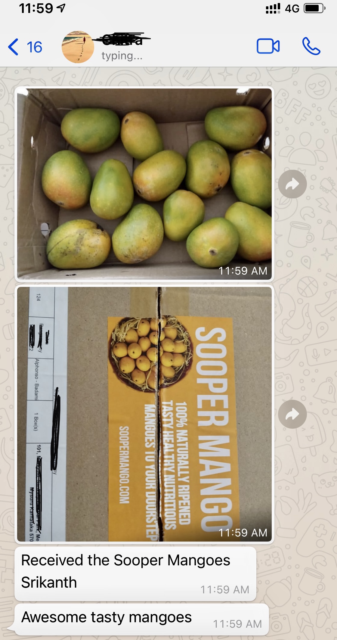 Delicious Mangos Review