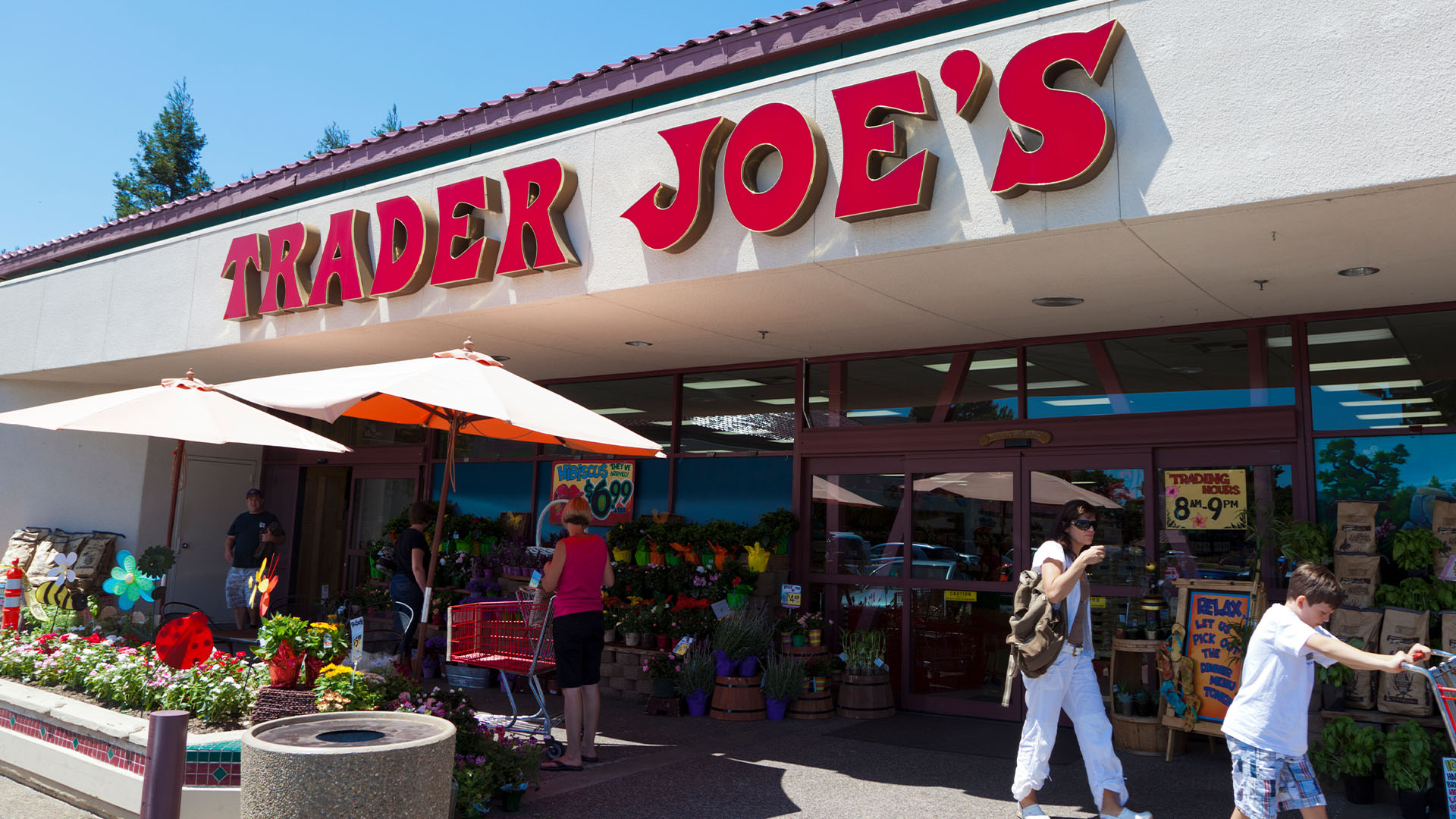 Bringing Trader Joes to Elmira: Why Its Time for a Change
