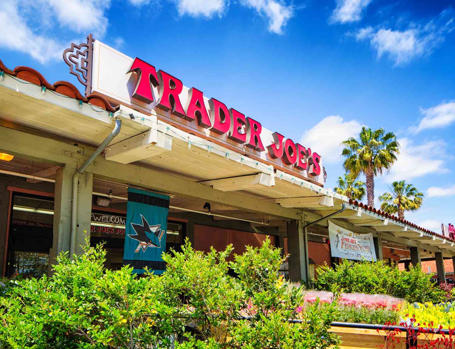 Is There a Trader Joes in Longview, Washington? – Exploring the Possibilities
